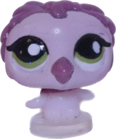 #T22 Teensiest Owl